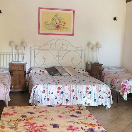Casale Fedele Family Relax B&B Vicino Al Borgo Ronciglione  Luaran gambar